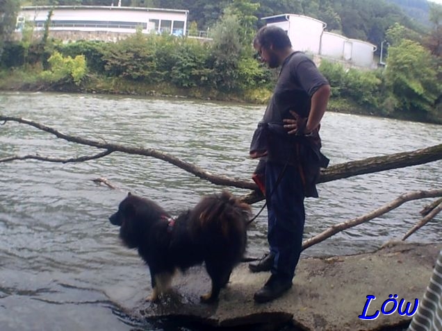 21.8.2025 - Howard an der Mur